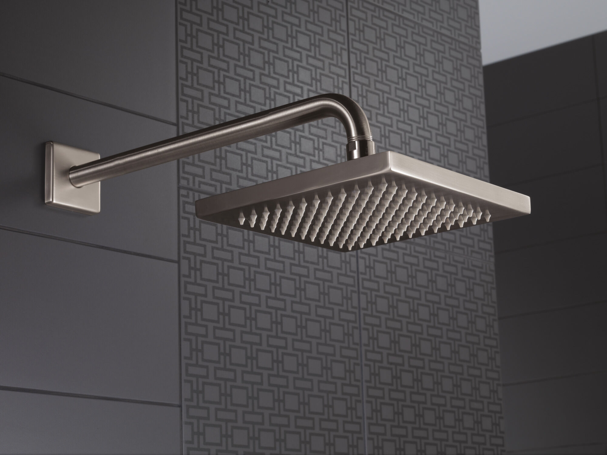 RP53496SS Душевая лейка Raincan с одинарной настройкой Delta Faucet Universal Showering Нержавеющая сталь  - Вид №4