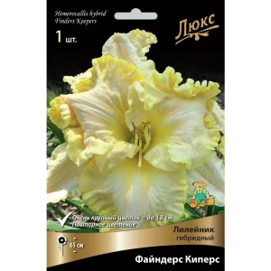 Лилейник гибридный «Файндерс Киперс» разбор I 82661835 STLM-2114539