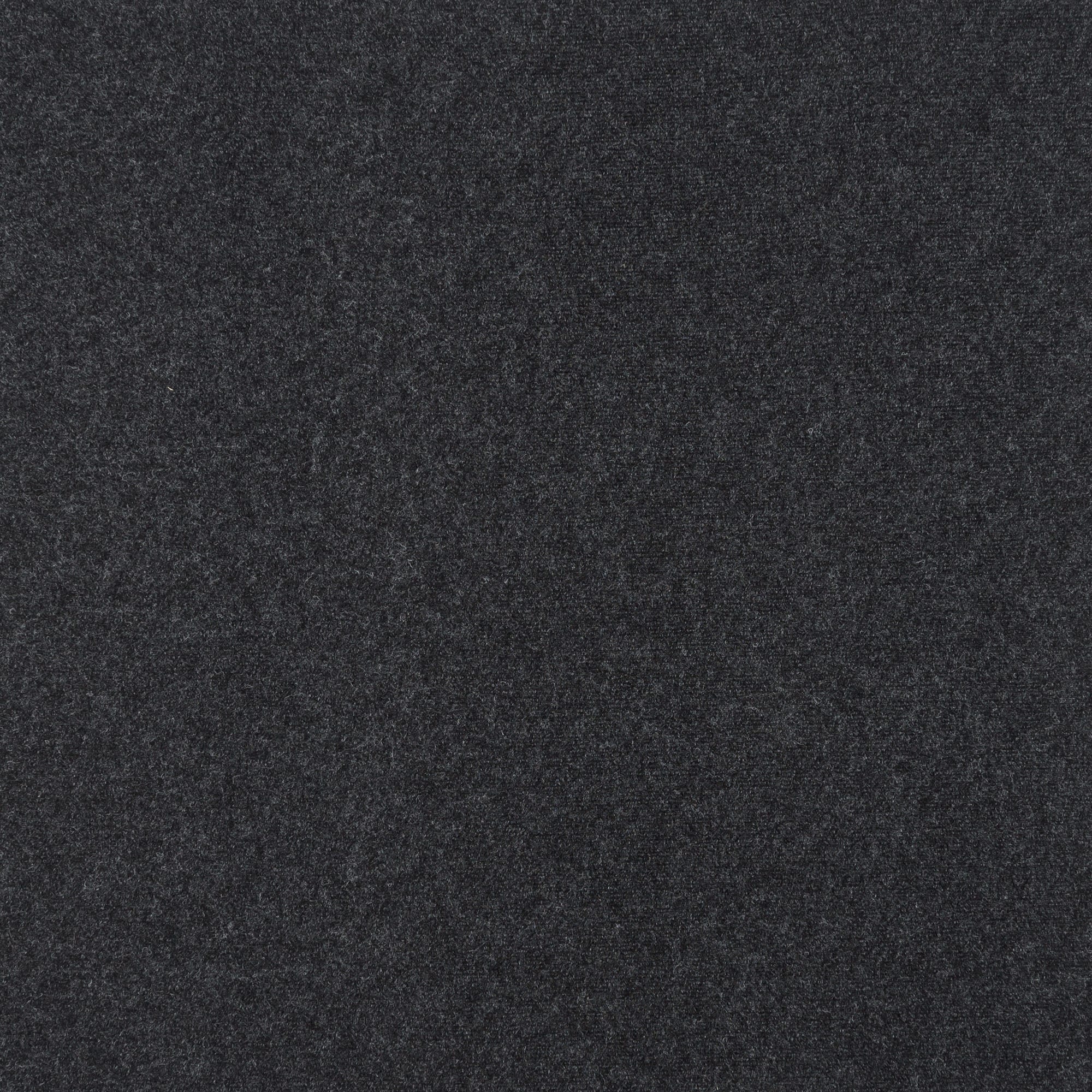 13084397 Ковровое покрытие иглопробивное «ФлорТ Про 01022», 3 м, цвет чёрный Santreyd 