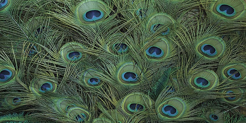 Моющиеся обои Creativespace Prêt-à-porter ARCH-00071797 - Вид №1