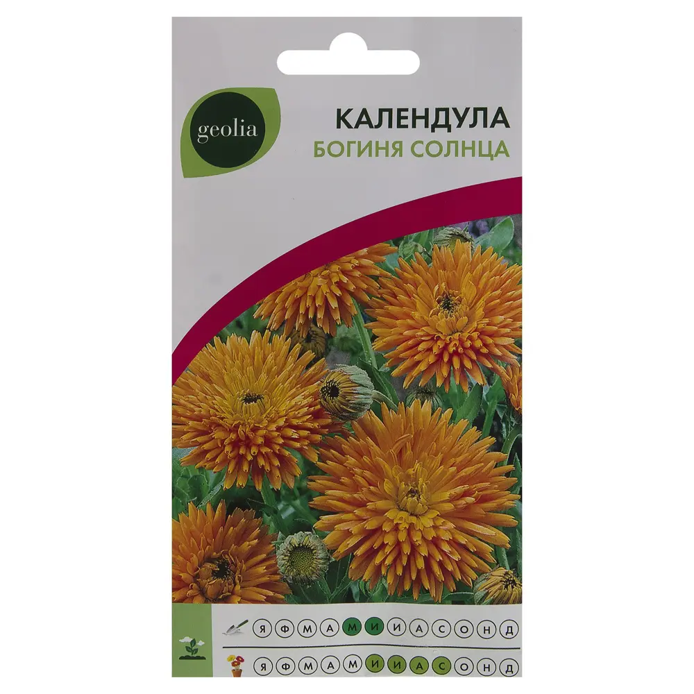 Календула GEOLIA Богиня Солнца - солнечный акцент вашего сада 17585586 STLM-0008391
