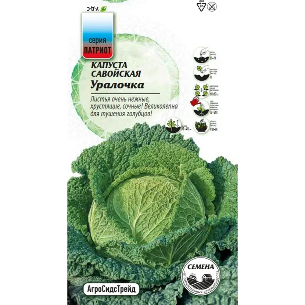 Семена овощей Агросидстрейд Патриот капуста савойская Уралочка STLM-2109479 - Вид №2