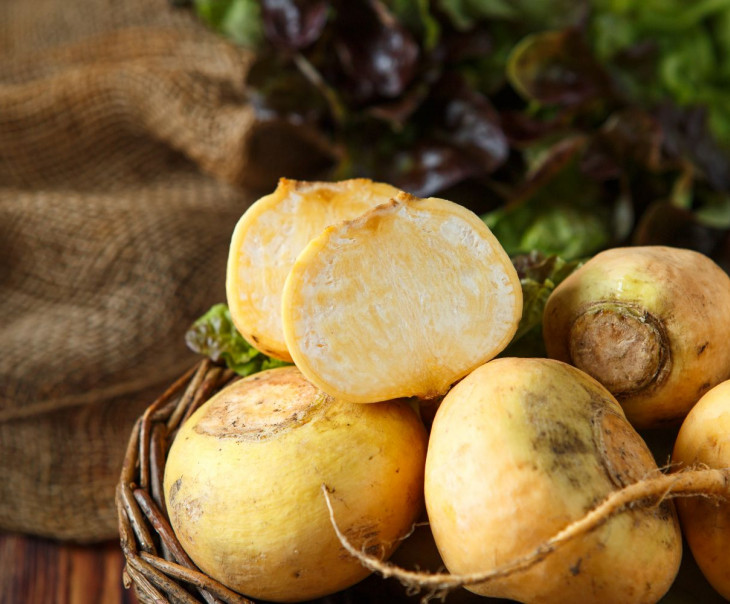 5271 Репа Вкусляндия  - Вид №1