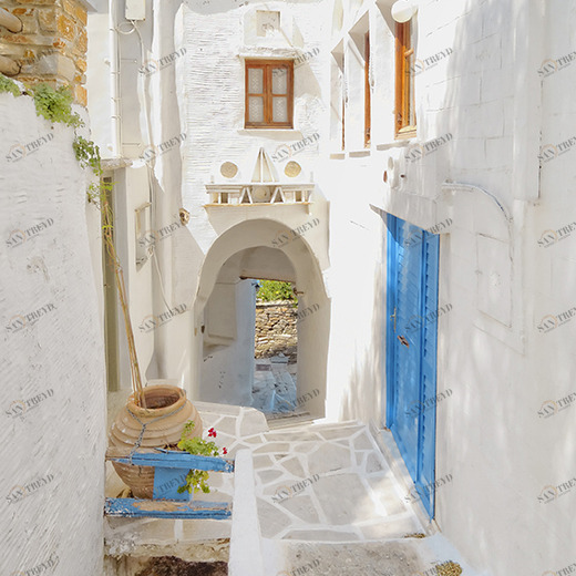 C1-219 Фотообои DIVINO Collection C 2.7х2 м C1219