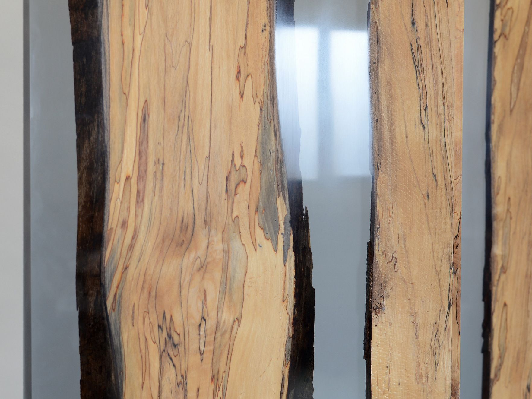 Ширма alcarol Fungi ARCH-00070950 - Вид №12