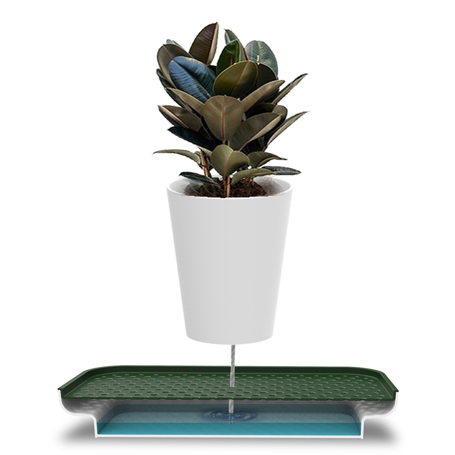 Лоток для полива растений Oasis Tray белый Qualy QL10309WHGN - Вид №8