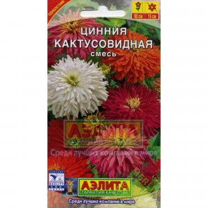 13909037 Циния кактусовидная смесь окрасок