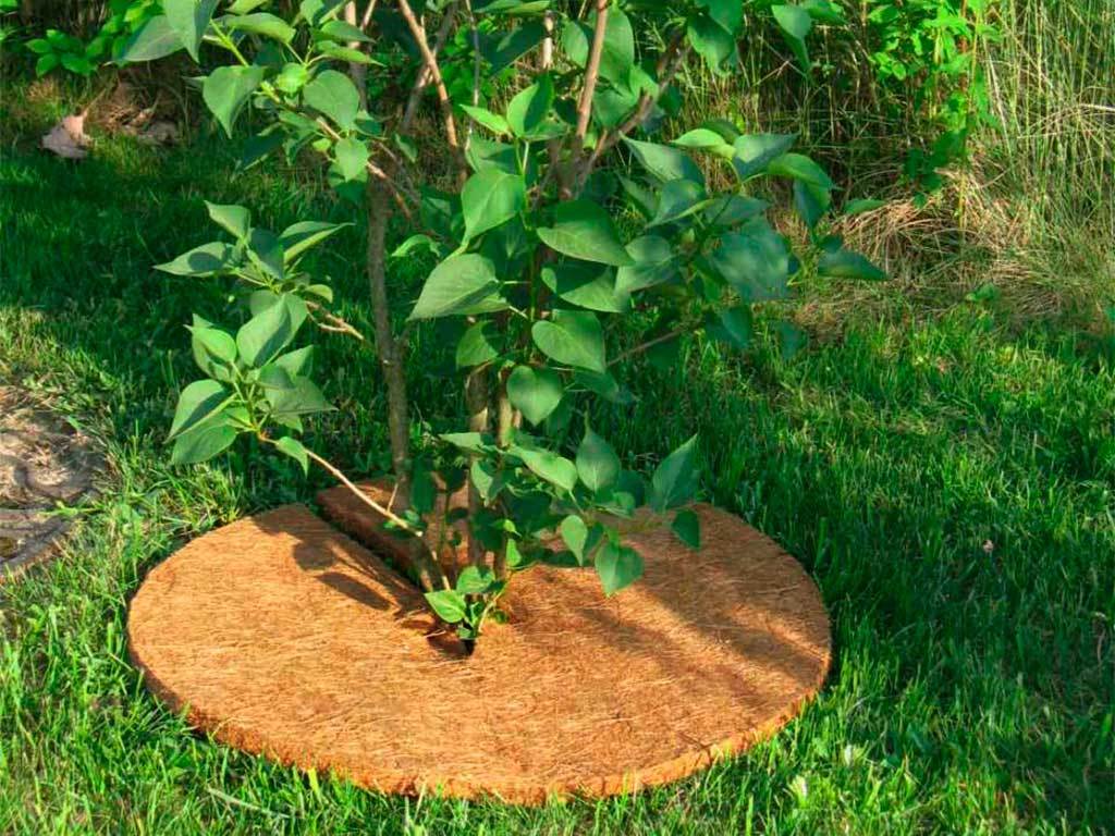 Круг приствольный Мульчаграм 60 см, комплект - 5шт ГеоПластБорд GPBST-236 - Вид №8