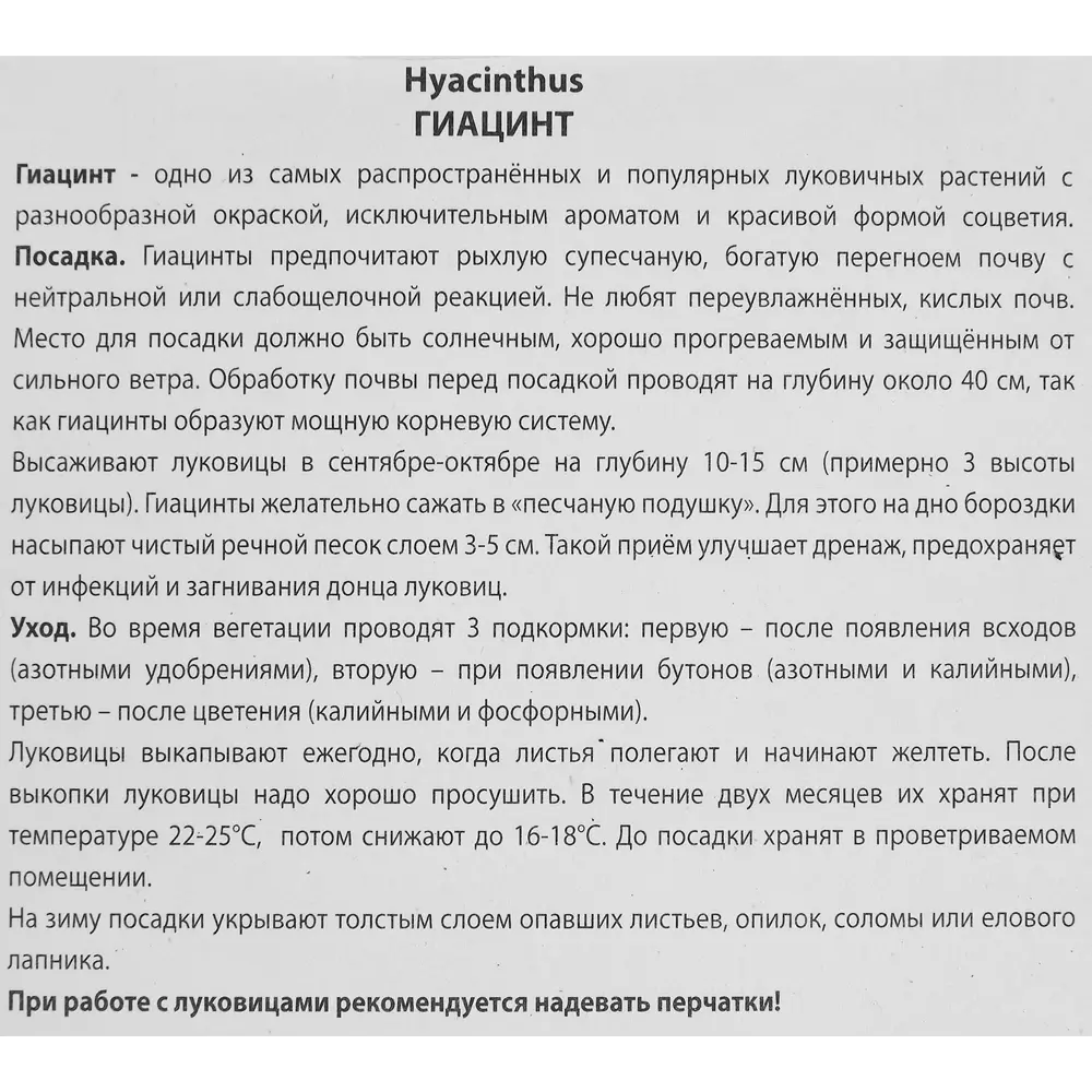 Гиацинт садовый Ред глори луковица 15/16, 3 шт. 88294686 STLM-2041075 Santreyd  - Вид №2