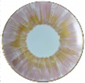 PAN_63-54_FOR_DIPJ Тарелка диаметр 26,5 см Н 3 см MARIE D'AAGE Santreyd 