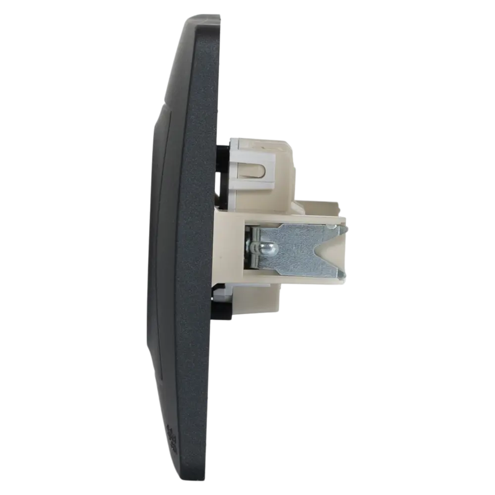 Розетка встраиваемая Systeme Electric Blanca без заземления цвет антрацит STLM-2085061 - Вид №2