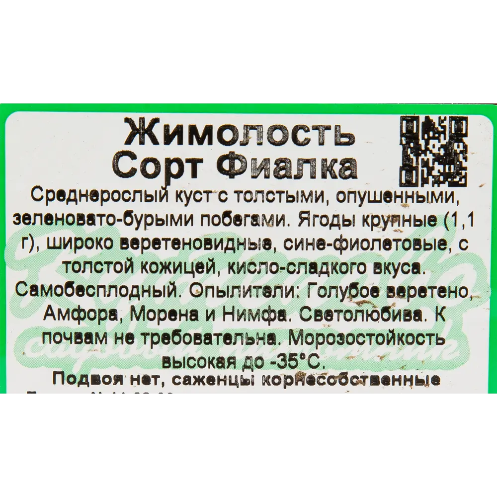 Жимолость плодовая «Фиалка» C3 высота 50 см 82597076 STLM-2147553 Santreyd  - Вид №1