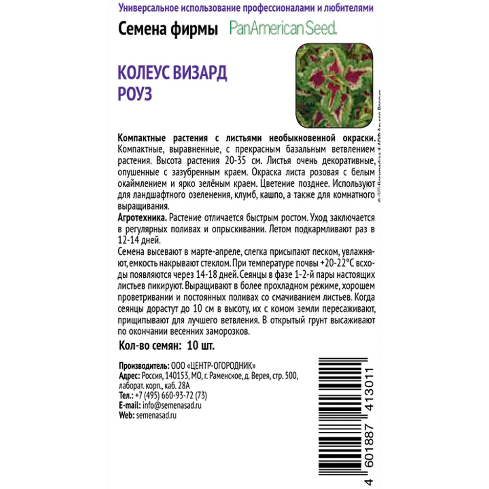 ПОИСК Колеус Визард Роуз - декоративный однолетник с розово-белой листвой 89401222 STLM-1569268 - Вид №1