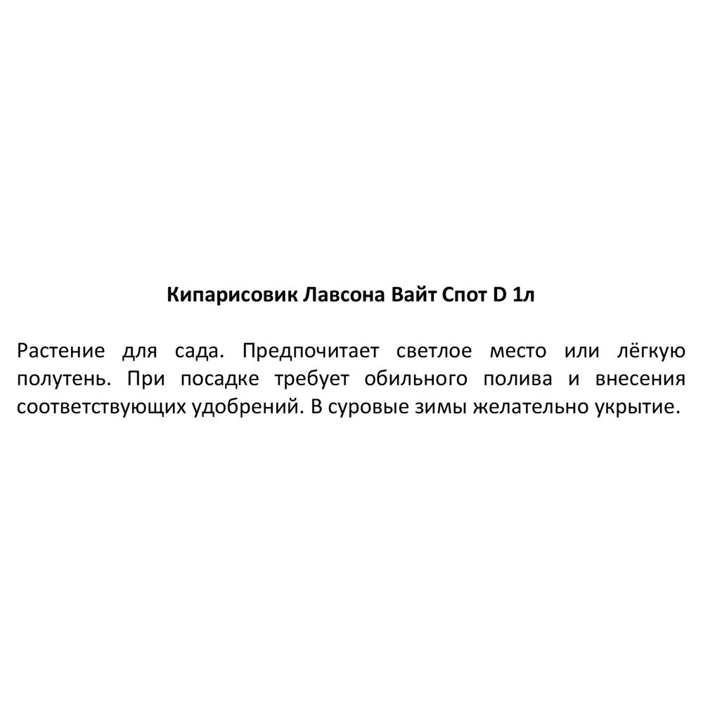 Кипарисовик Лавсона Вайт Спот h15 см Santreyd STLM-2126501 - Вид №2