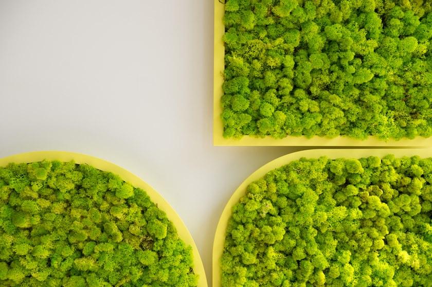 BuzziSpace Акустическая декоративная панель из мха sun-id-1405297 - Вид №1