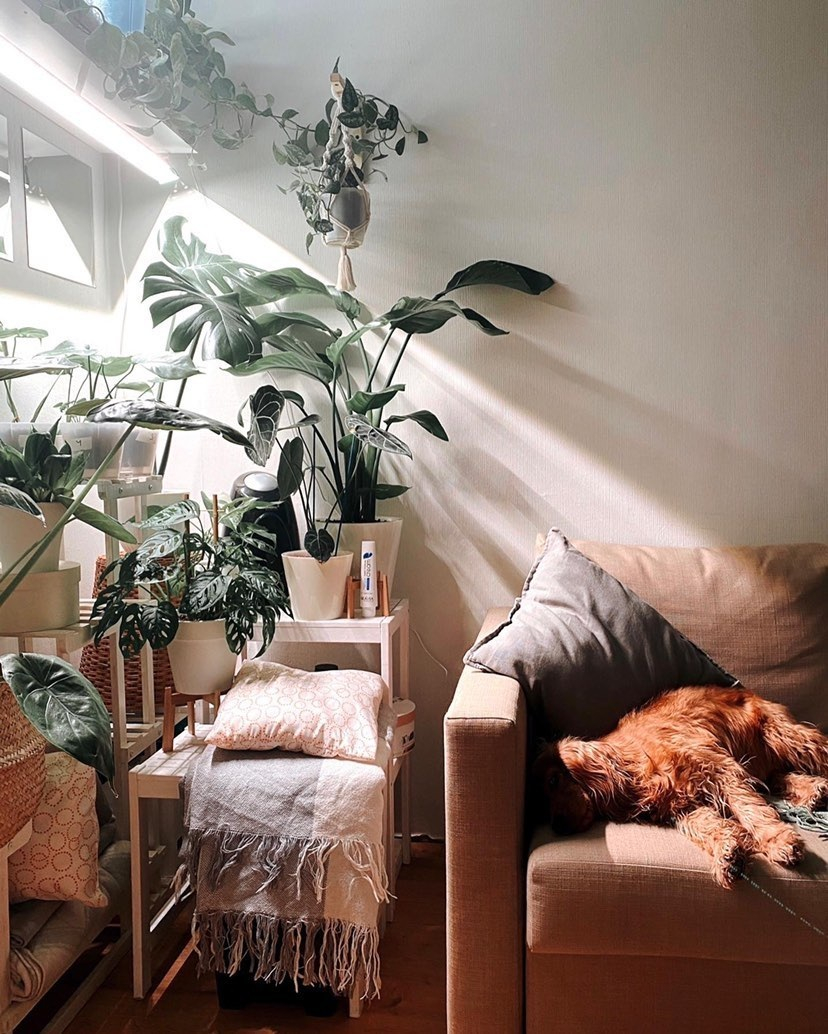 1121 Фитолампа для растений 40 Ватт. Длина 80 см LAB.Space  - Вид №7