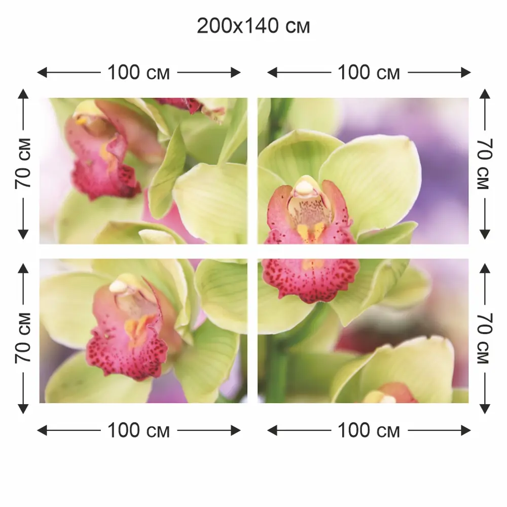 Фотообои бумажные Очарование 200x140 см Симфония STLM-2159856 - Вид №2