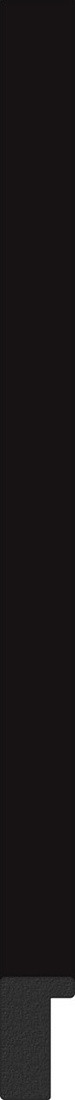 BY 7459 Зеркало в багетной раме - черный 20 mm EVOFORM Definite - Вид №3