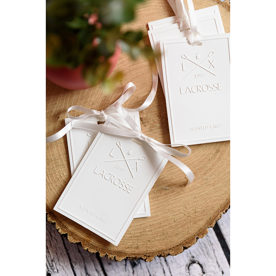 TP002WWLC Карточка ароматическая , lacrosse, дикий водопад Ambientair  - Вид №1