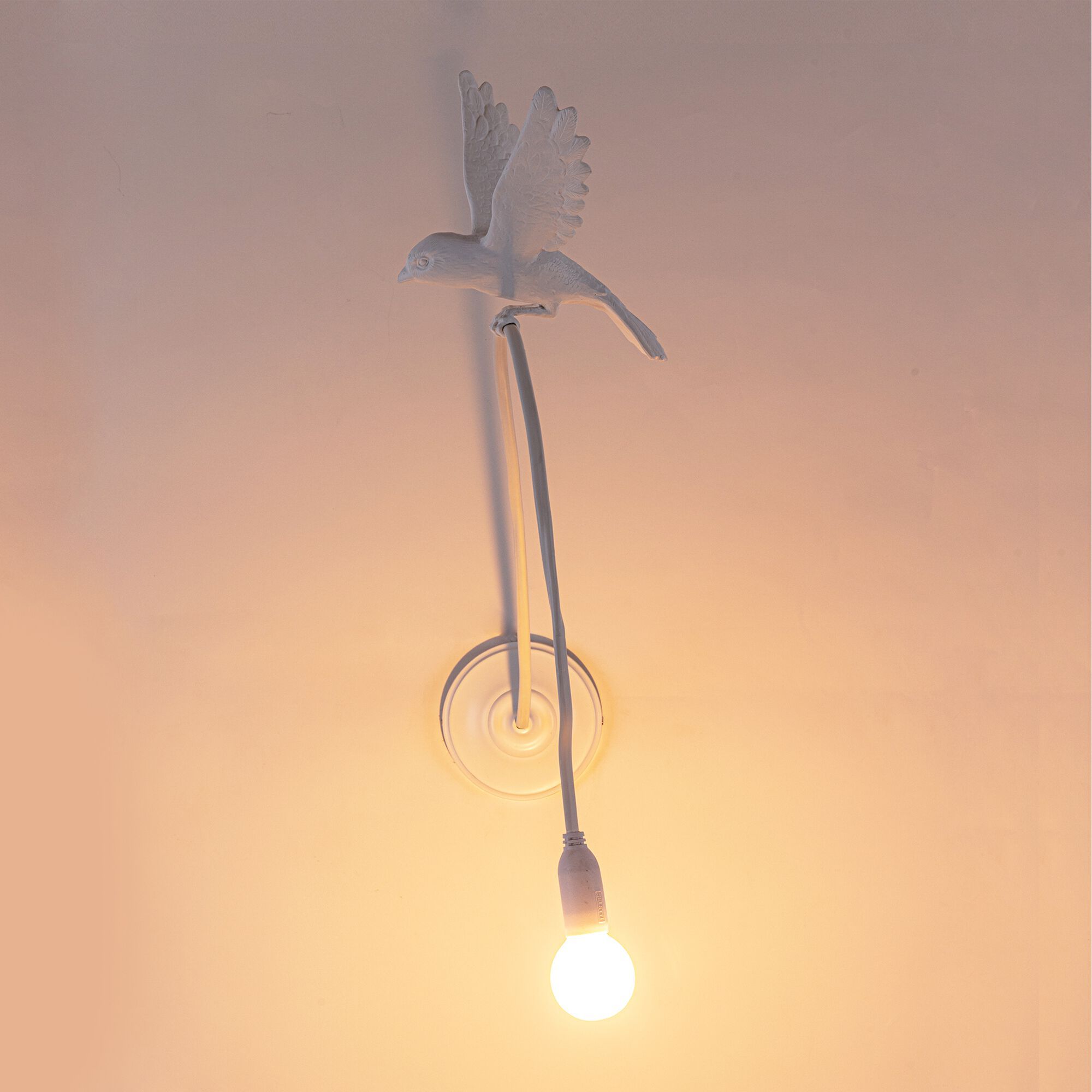Светодиодный настенный светильник из смолы Seletti Sparrow Lamp ARCH-00095035 - Вид №6