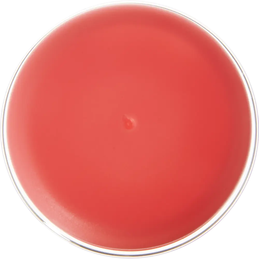 Бутылка для воды VaBr005 500 мл полипропилен прозрачный VIDAGE STLM-2006867 - Вид №6