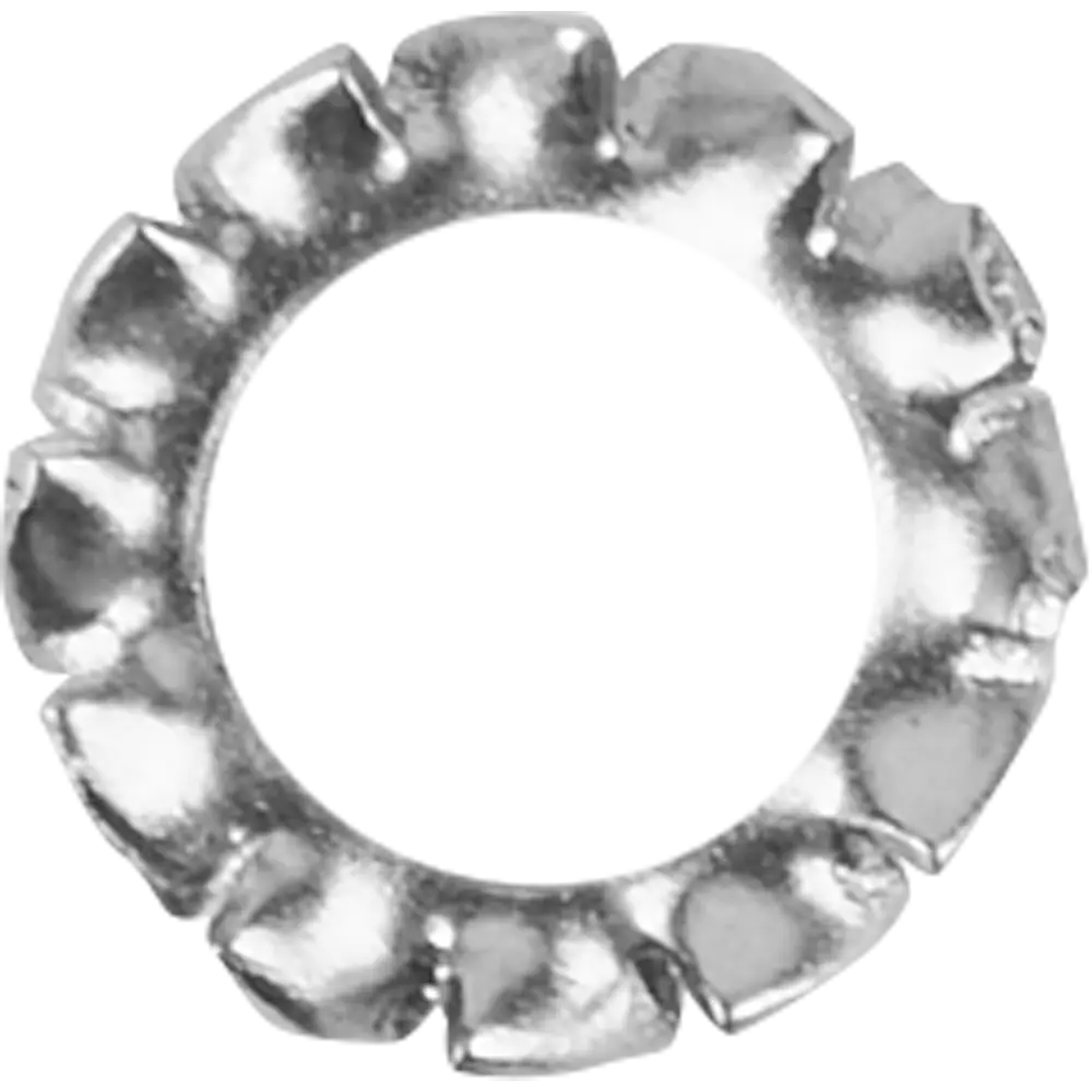 Шайба DIN6798А 4 мм нержавеющая сталь А2, 10 шт Santreyd STLM-2175594