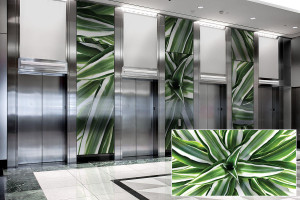 FSRT382 Зум-стекло Vivispectra с прослойкой dracanea fragans Forms-surfaces