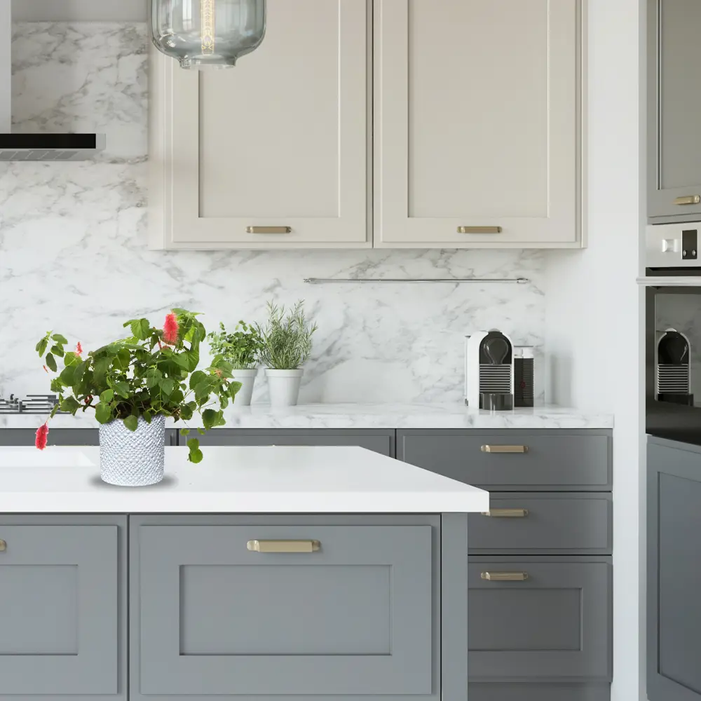 Santreyd Акалифа с красными соцветиями в кашпо 16×25 см 82649974 STLM-0032829 - Вид №3