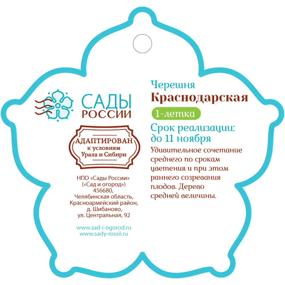 Черешня «Краснодарская» 1 год 12.5x30-50 см 82610477 STLM-2200396 Santreyd  - Вид №1