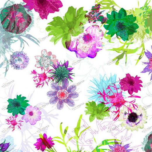 8-911-Fleurs-de-Paris Фотообои Komar Imagine 2.54х3.68 м 8911FLEURSDEPARIS