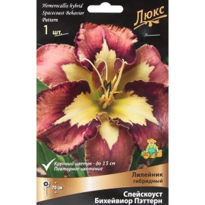 Лилейник Спей Скоуст Бихейвиор Пэттернкап 85205695 STLM-2130065