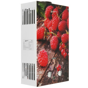 5321827 Водонагреватель газовый Wertrus 10EG BERRY