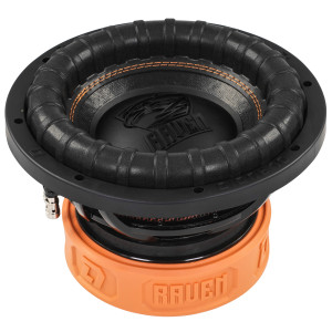 9285850 Сабвуферный динамик DL Audio Raven 10 v.2
