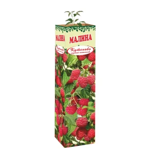 Малина Геракл в тубе 82559196 STLM-2022735