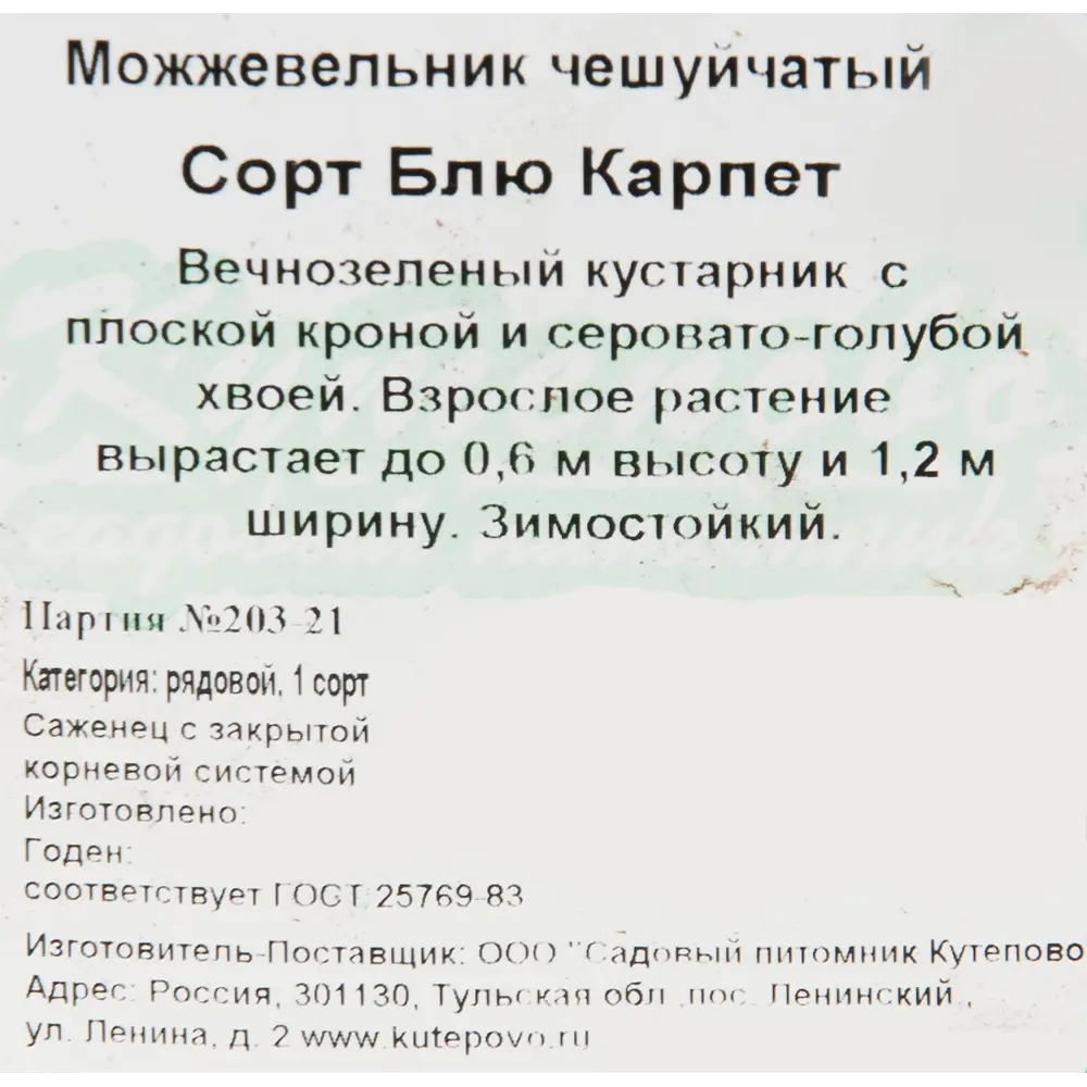 Можжевельник чешуйчатый «Блю Карпет» 15x30 см 82596781 STLM-2122790 Santreyd  - Вид №1