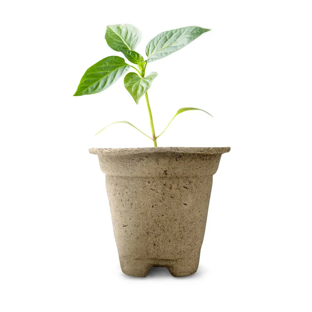 ГАЗОНCITY — Эко-горшки для рассады из бумаги, 20 шт 89344245 STLM-0952159 - Вид №2