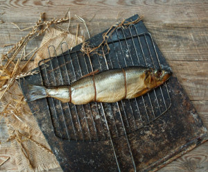 1527 Сельдь горячего копчения Дмитрий Носов и Сергей Копейкин