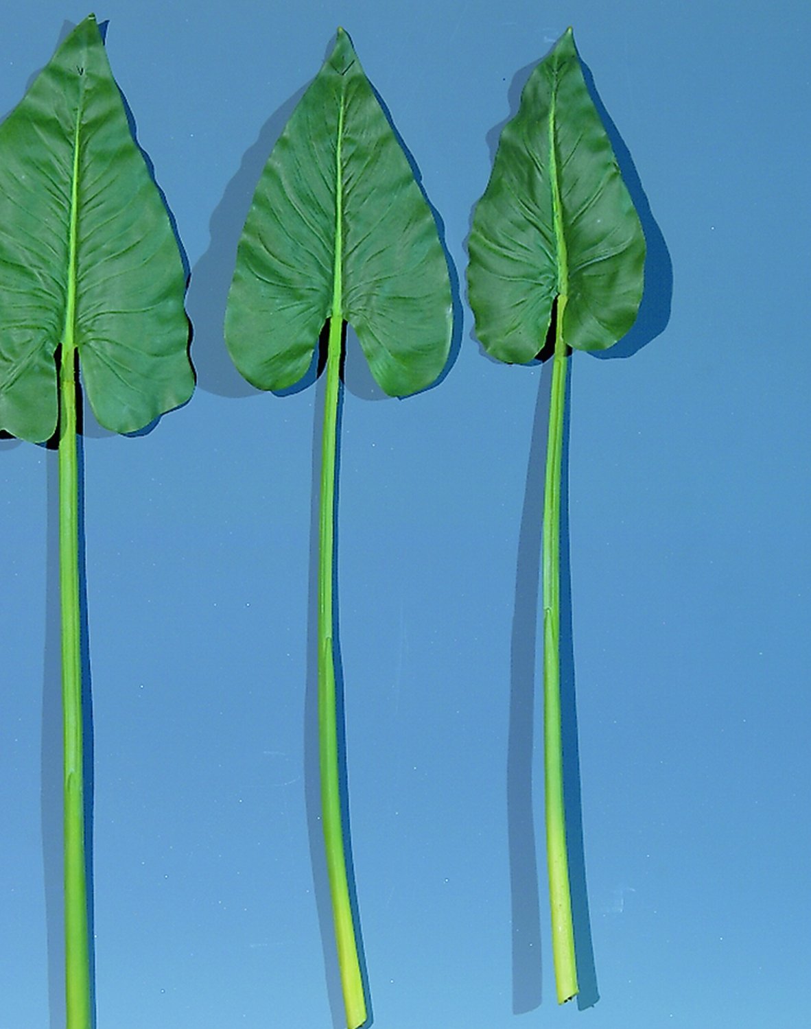 5153 883 a2 Искусственный лист зантедескии, 69 см, зеленый H-andreas 