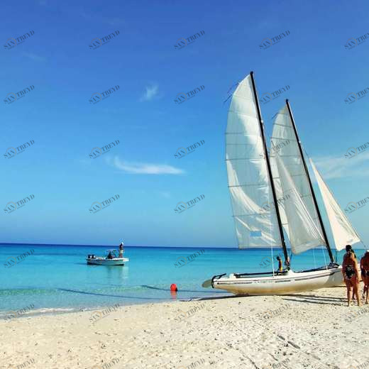 WP00435 Фотообои Verol Фотообои decoline 1х1 м