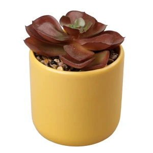 Искусственный суккулент Dream River в керамическом горшке 12 см 89432352