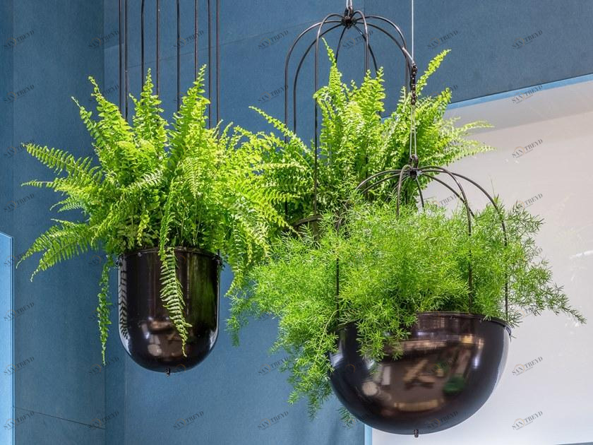 Nola Industrier Круглый подвесной горшок для цветов  Ö16-43 