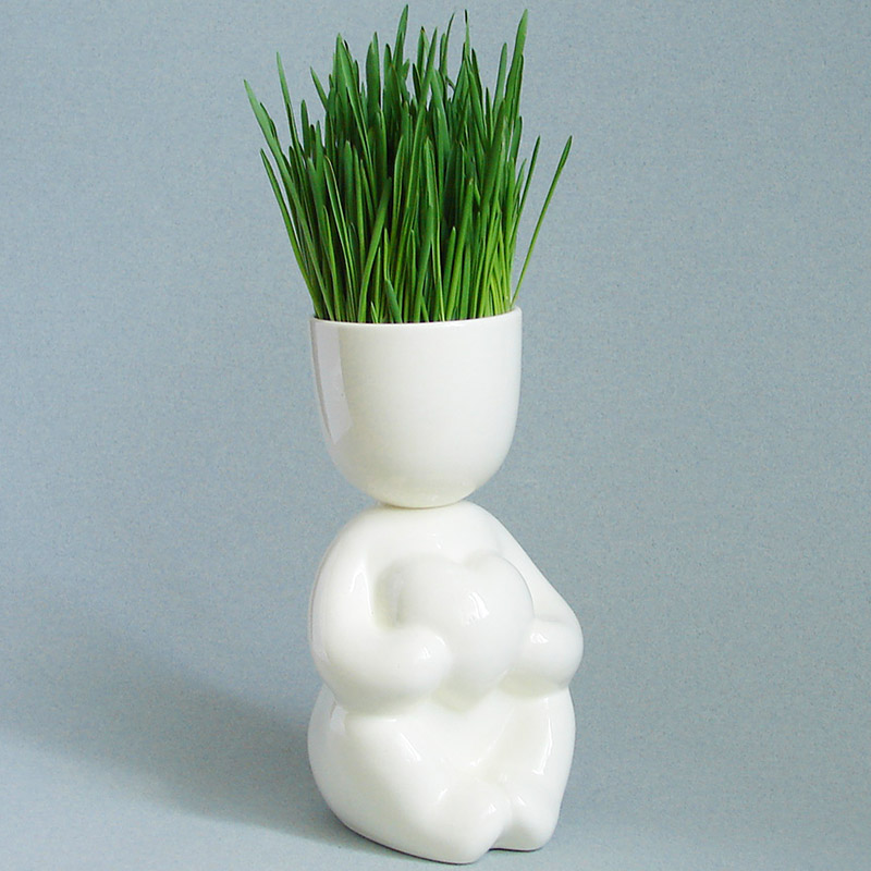 Набор для выращивания Eco Романтик ЭКОЧЕЛОВЕКИ 1007 - Вид №2