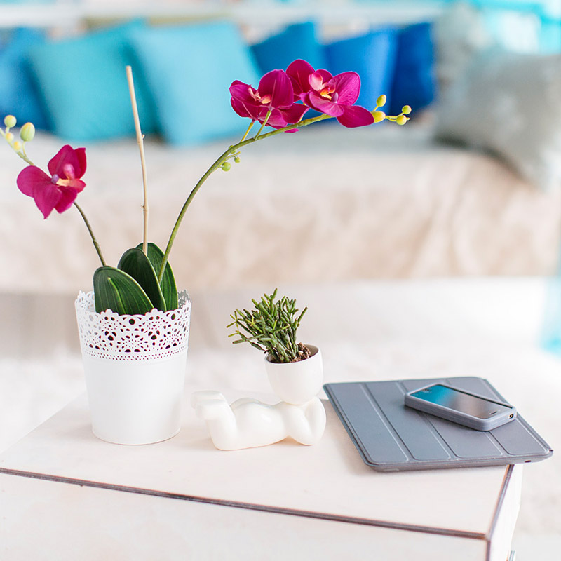 1003 Набор для выращивания eco мечтатель Экочеловеки  - Вид №1