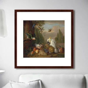 Картина: A cockatoo, a parrot, a jay and other birds, 1715г. КАРТИНЫ В КВАРТИРУ  264095 Разноцветный
