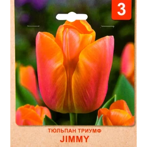 Тюльпан Триумф «Jimmy» размер луковицы 10/11, 3 шт. 82365373 STLM-2170614