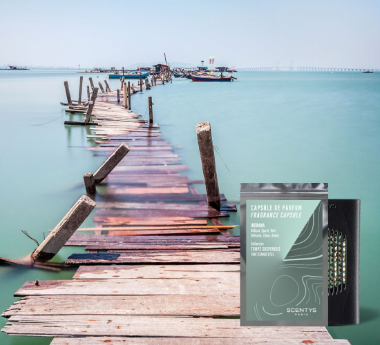 F1981 Ароматическая капсула SCENTYS Santreyd 