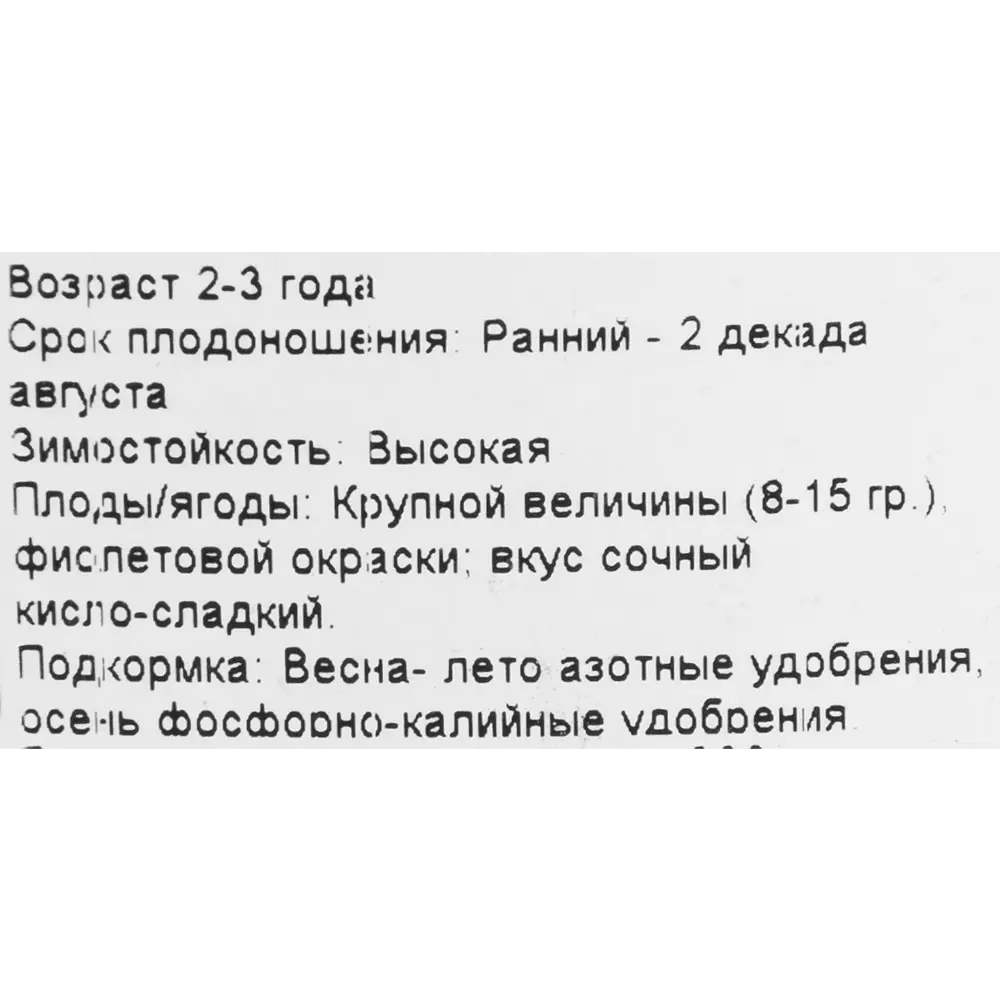 Виноград плодовый «Ливия» 19x55 см 82625413 STLM-2150492 PLANTMARKET  - Вид №1