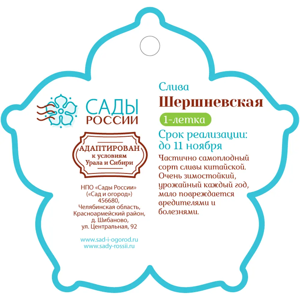 Слива «Шершневская» 1 год 12.5x30-50 см 82610457 STLM-2209388 Santreyd  - Вид №1