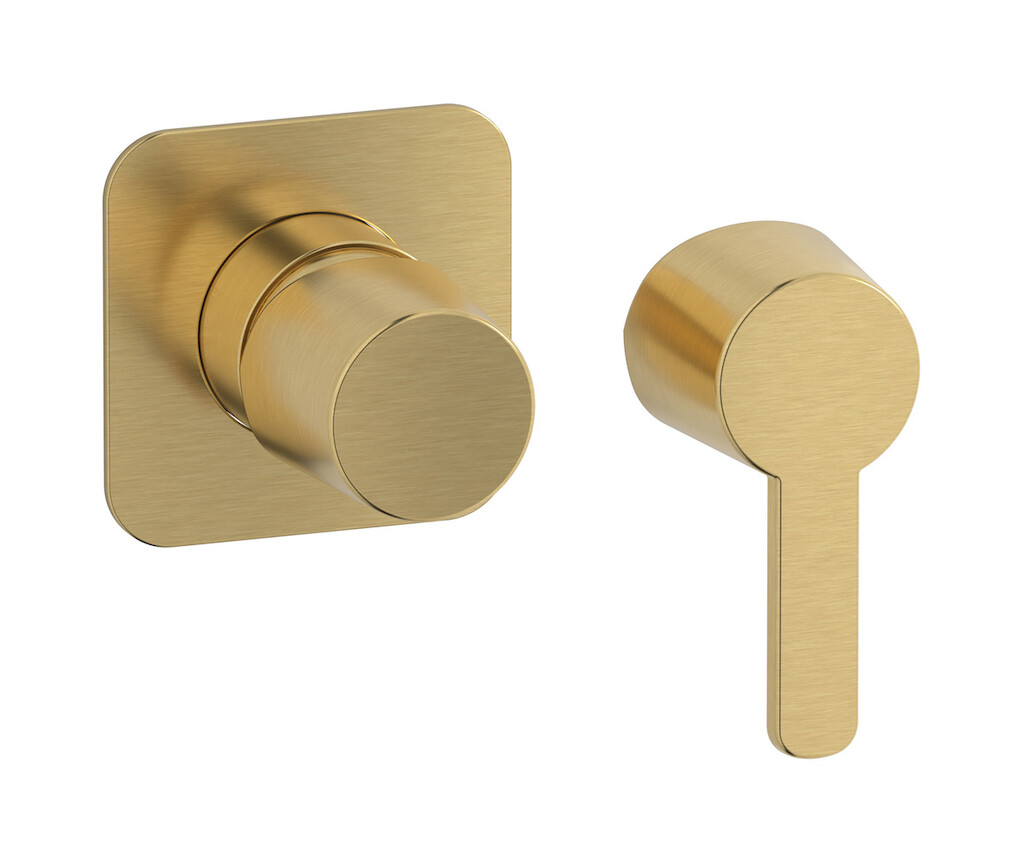 Внешние части встроенного смесителя на 1 потребителя WE ARE IB aa323cc_23 Brushed Gold TAAAC