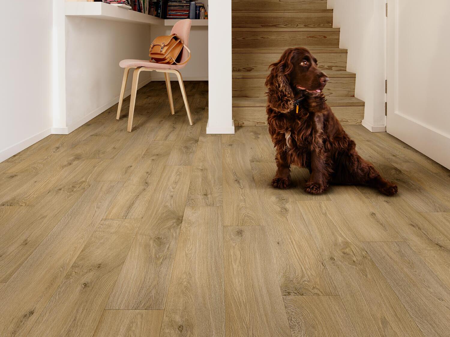 Нескользящий виниловый пол с эффектом дерева BEAUFLOR Phonitec ARCH-00072615